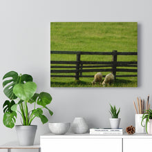 Load image into Gallery viewer, Pair of Goats - Greenery Farmers Field - Wine and Cheese Piece - Oil Sketch on Canvas | Canvas Gallery Wraps
