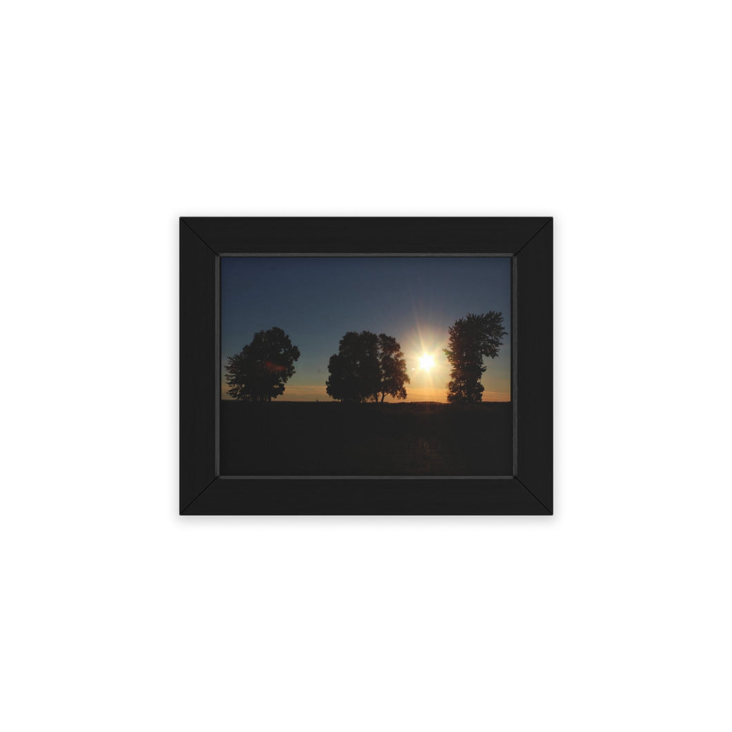 3 Trees Sunset - Sunset Photography - Wall and Lobby Art - Artwork - Photographic Print - Framed Poster, Horizontal